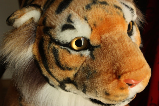 虎毛绒玩具图片下载