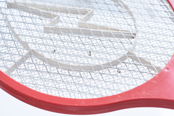 电动苍蝇拍打蚊子宠物昆虫杀手昆虫灭虫器球拍电池蝙蝠图片下载