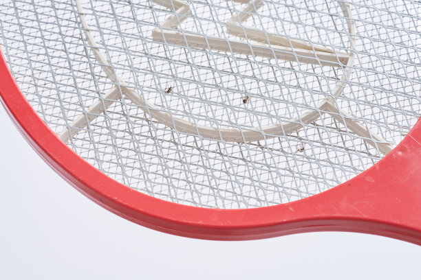 电动苍蝇拍打蚊子宠物昆虫杀手昆虫灭虫器球拍电池蝙蝠图片下载