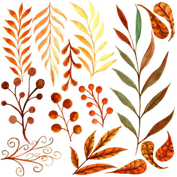 用水彩画的一组树叶和树枝图片下载