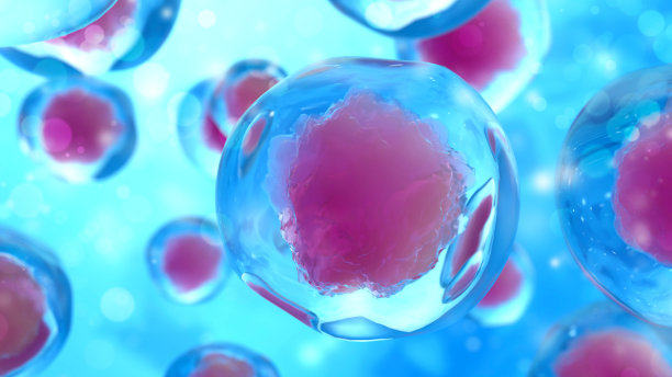 显微镜下的细胞。微生物的概念图片下载