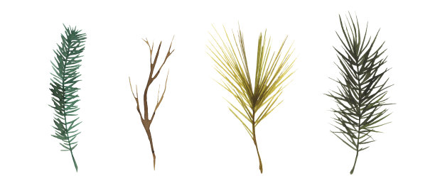 水彩画与冬季的树枝图片下载