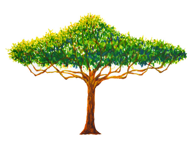 树水彩画插画设计手绘图片下载