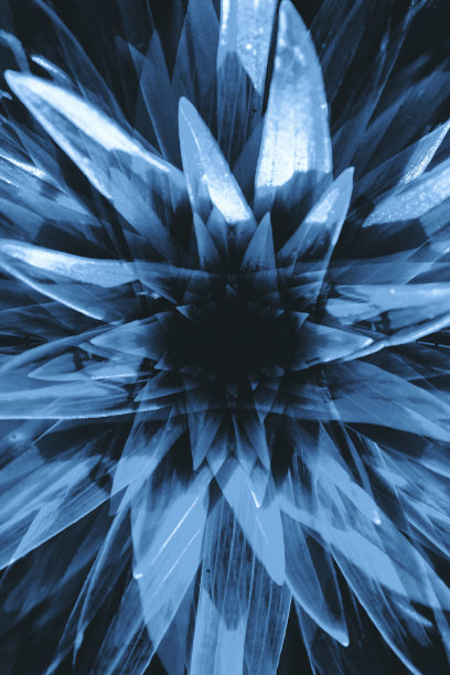 近距离观察，你会看到一种有着长长的叶子的超现实大植物的幻觉。对酒精和毒品主题的消极抽象幻觉。大麻或酒精的致幻热带效应。迷幻药的效果。大麻毒品。图片下载