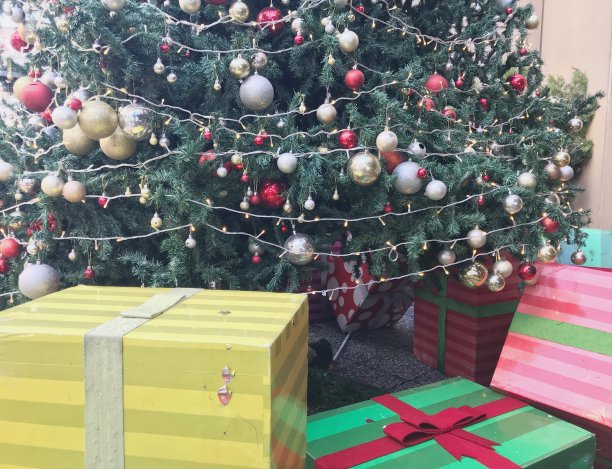 圣诞树图片下载