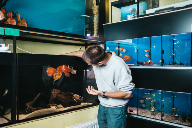 水族馆店素材图片