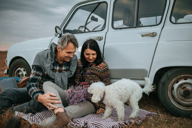 这花看起来很好吃图片下载