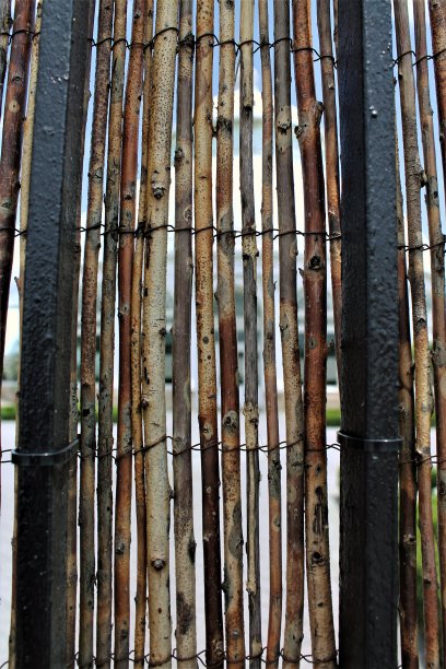 竹篱笆面板图片下载