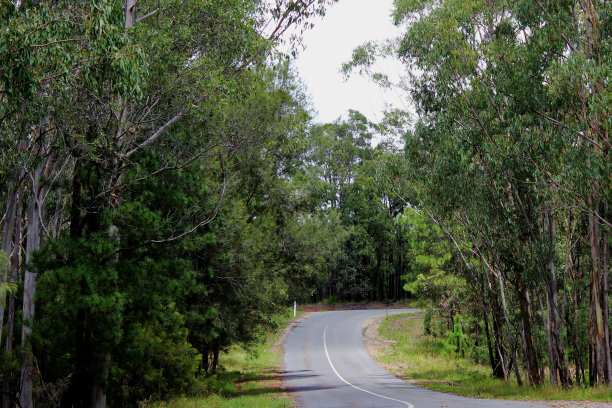 温室mountanins图片下载