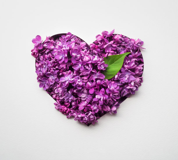 情人节快乐的卡片，有一颗丁香花的心图片下载