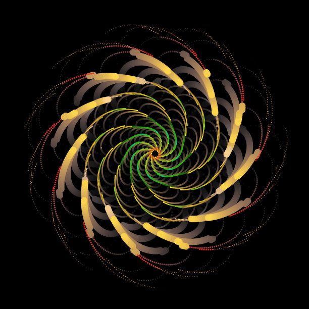 甘蔗花图片下载