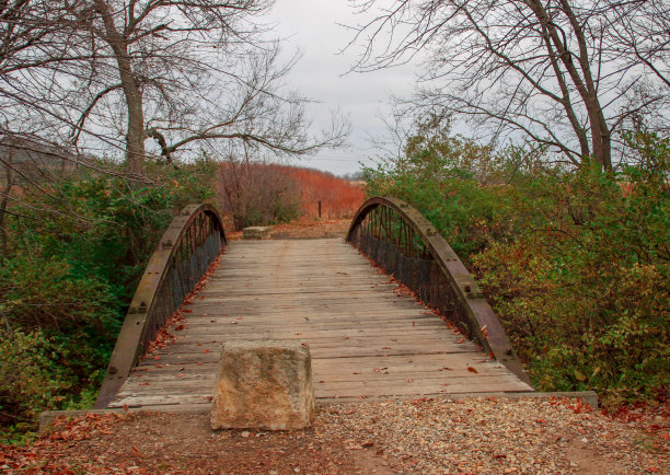 秋天的桥梁图片下载