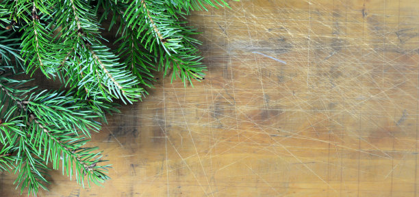 圣诞节的背景。木制背景上的圣诞树树枝图片下载