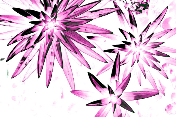 水彩烟花在纸上。抽象的彩色图像上什么人的纸。用画笔画星星形状的想象花朵。艺术背景。彩色图片上的白色画布。生动的草图与复制空间。图片下载