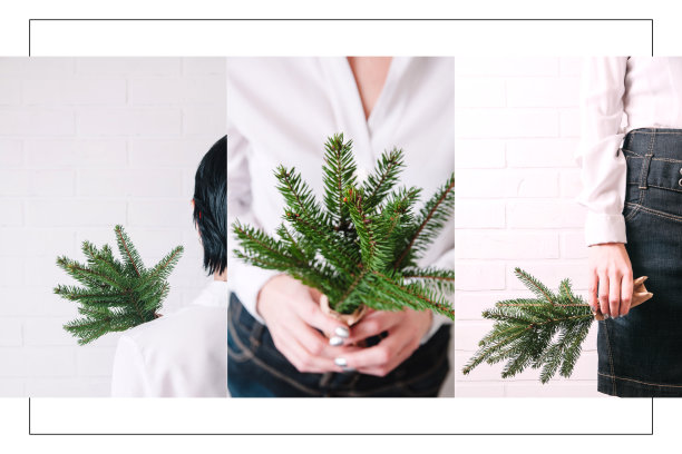 女人手里拿着云杉的树枝。圣诞节的概念图片下载