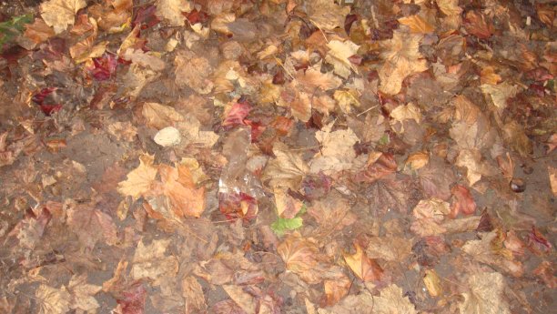 抽象结构图片下载