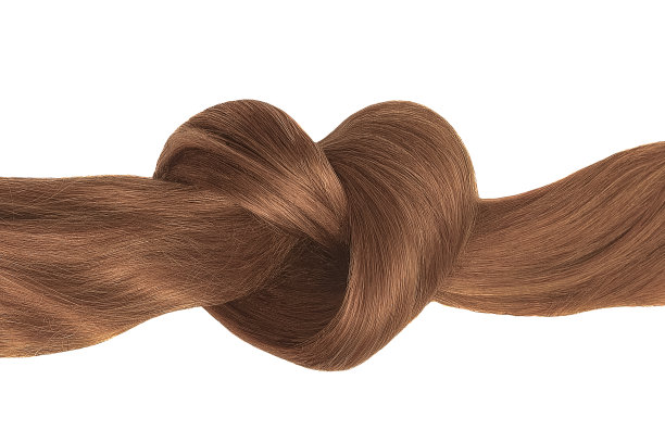 棕色的心状发髻，孤立在白色上图片下载