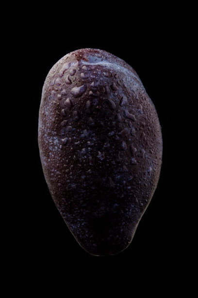 新鲜的青梅在黑色的背景和水滴图片下载