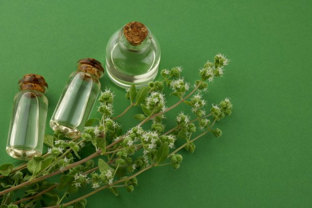 马郁兰精油。马郁兰油设置在玻璃瓶和开花的马郁兰枝在明亮的绿色背景图片下载