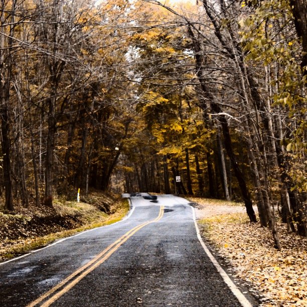 乡村道路图片下载