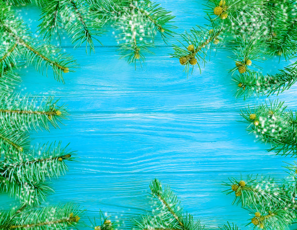 蓝色木制背景框上的圣诞树树枝图片下载