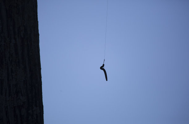 钓鱼诱饵图片下载