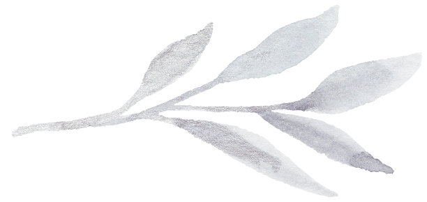 冬季水彩叶。图片下载