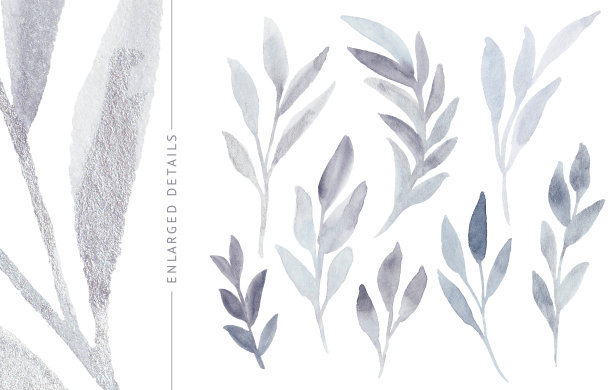 冬天水彩树叶。图片下载