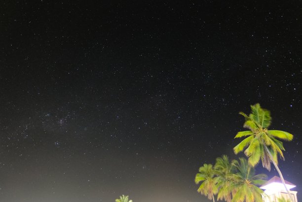 有树的夜空图片下载