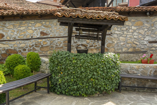 在花园里图片下载