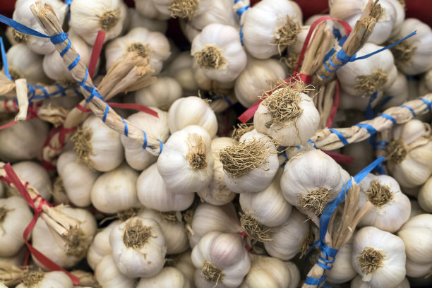 市场上新鲜采摘的大蒜放在湛蓝的篮子里。有用的蔬菜，辛辣，香料。宏观照片洋葱。前视图。关闭了。图片下载