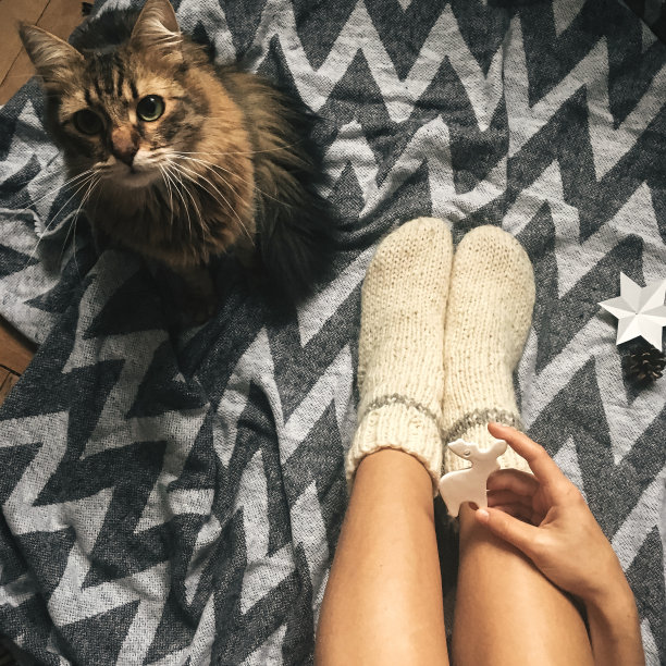 可爱的小猫在女孩的腿上玩圣诞羊毛袜和时髦的驯鹿玩具。前视图。大气舒适的形象，暖冬的心情。手机照片图片下载