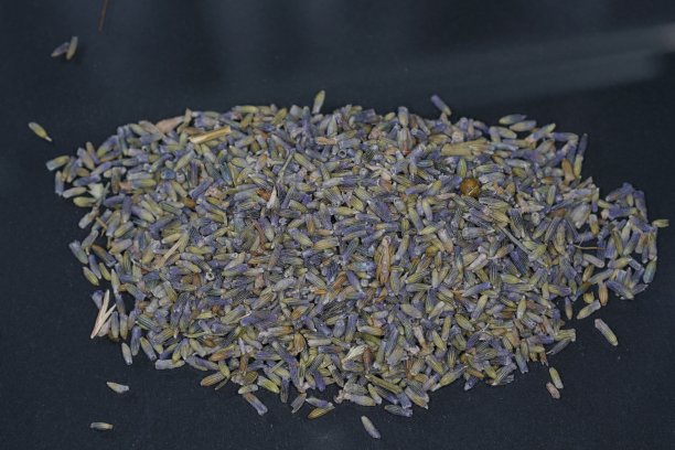 芳香的哈尔茨通常以树脂的形式提供图片下载