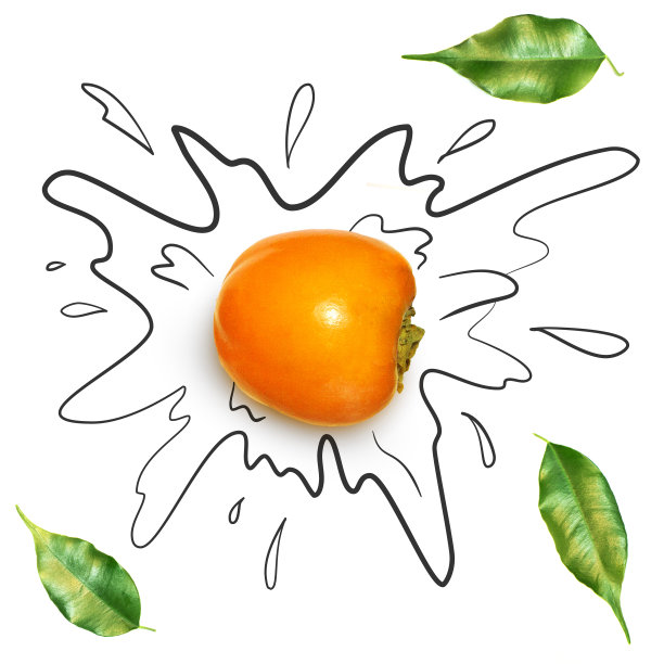 水果组成与新鲜的柿子和卡通可爱的涂鸦元素在白色的背景。创意简约的食物概念。图片下载