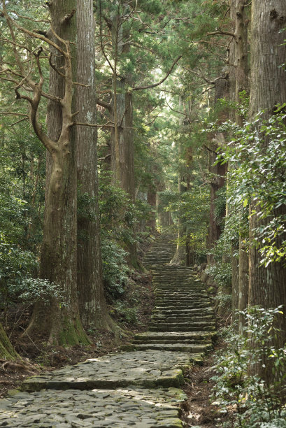 日本的绿色徒步旅行路线图片下载