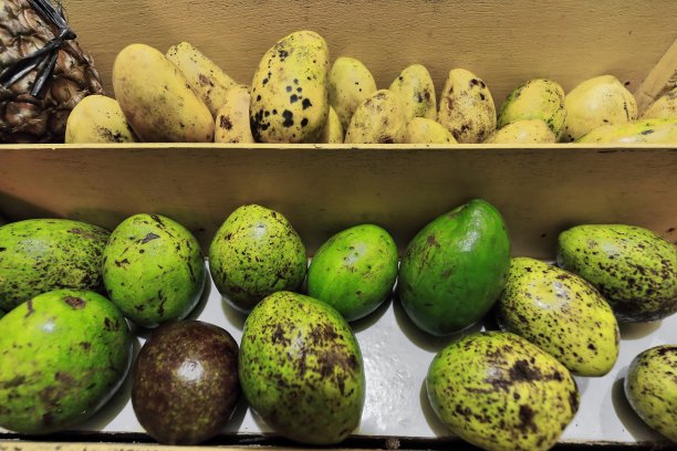 成熟的黄绿色卡拉宝芒果在水果摊上。埃尔尼多-菲律宾巴拉望省- - 0828图片下载