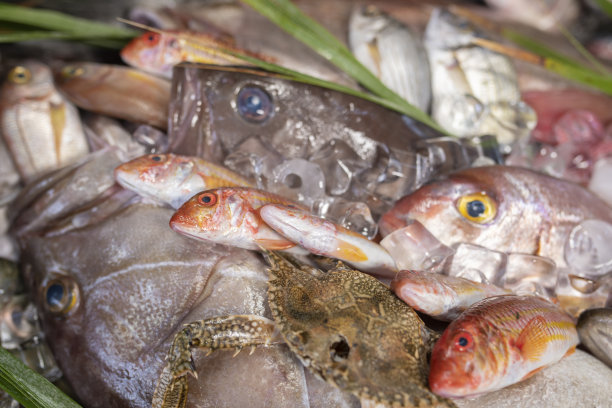 鱼类市场的龙虾、章鱼、红鲻鱼、boops boops、海鲈鱼、海鲷、石斑鱼、对虾及各种新鲜的海鲜和鱼类图片下载