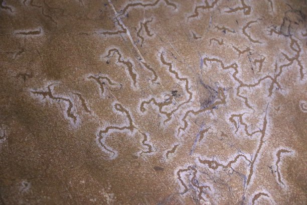 自然之水在斯洛文尼亚Križna洞穴中制作的Hyrogliphics图片下载