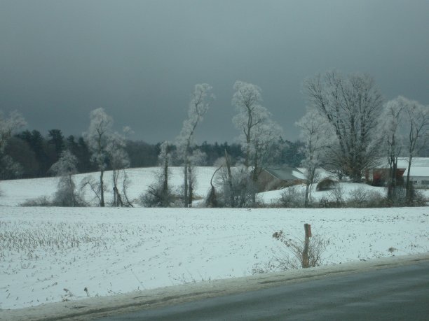 多伦多附近的冬季场景图片下载