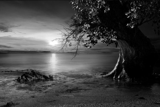 太阳光线的框架图片下载