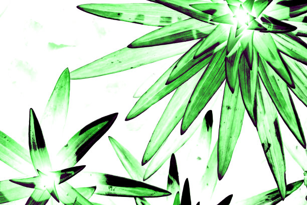 水彩烟花在纸上。抽象的彩色图像上什么人的纸。用画笔画星星形状的想象花朵。艺术背景。彩色图片上的白色画布。生动的草图与复制空间。图片下载