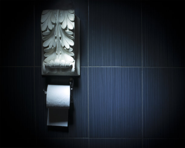 白色卫生纸卷上镀铬灯具与白色古董石膏装饰上面图片下载