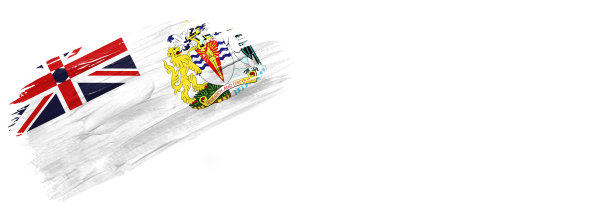 毛笔绘制的旗帜，英国国旗南极领土孤立在白色的背景图片下载