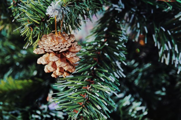 圣诞装饰图片下载