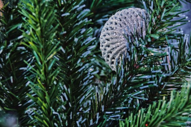 圣诞装饰图片下载