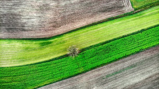 德国纽伦堡南部的夜间航班。图片下载