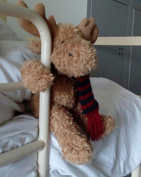 旅馆的客人图片下载