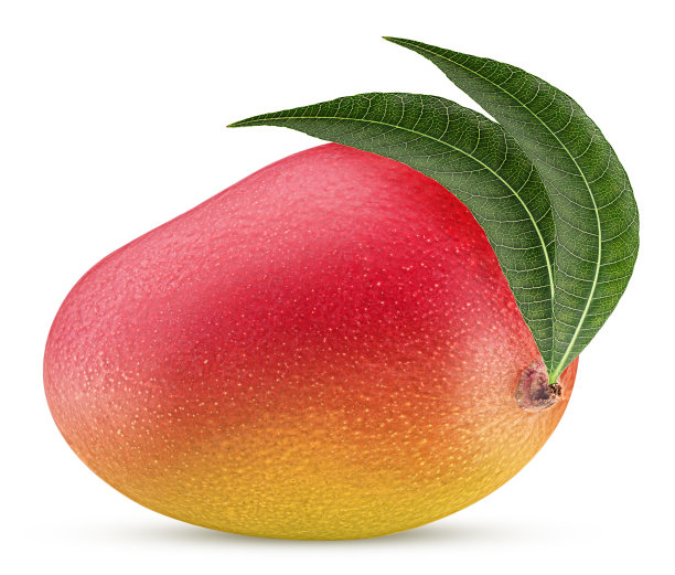 带有叶子的芒果图片下载