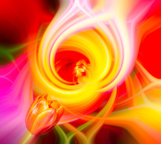 抽象的旋转效果背景与花图片下载