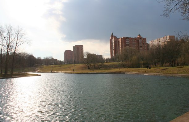 城市公园的春天图片下载